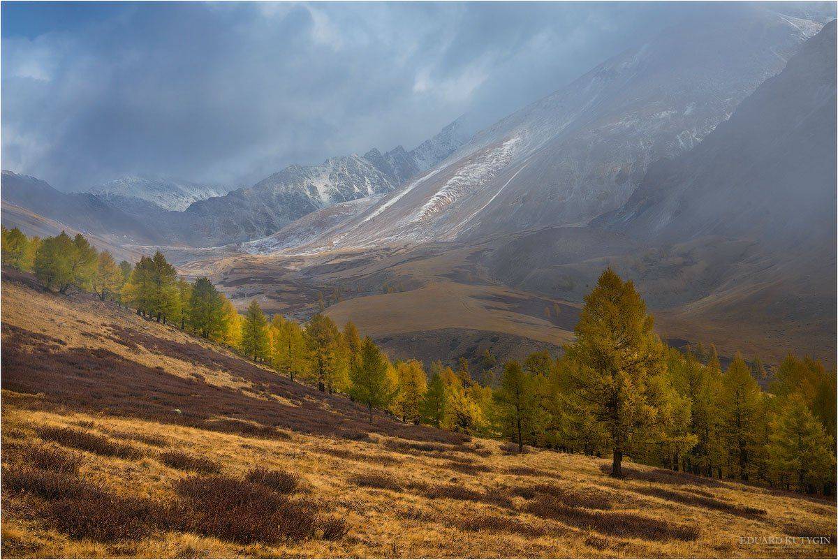 , Кутыгин Эдуард