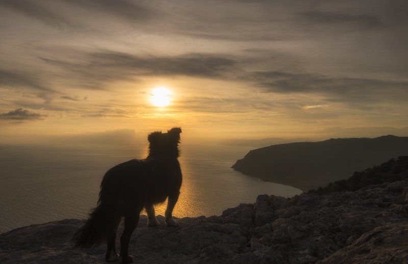 крым, море, горы, свет, закат, рассвет, природа, осень На краю земли фото превью