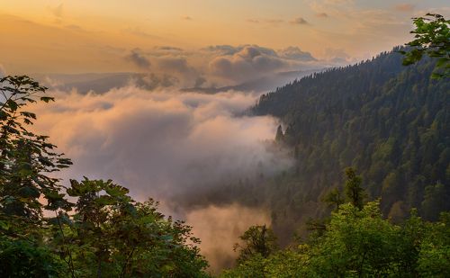 По дороге на гору Мамдзышха, Абхазия