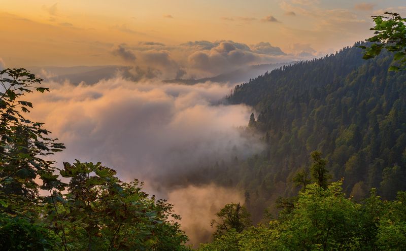природа, абхазия, гагра, мамдзышха, горы, облака По дороге на гору Мамдзышха, Абхазия фото превью