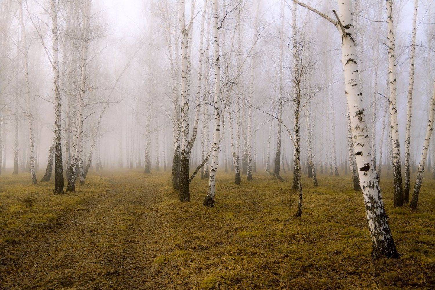 , Николай Морский