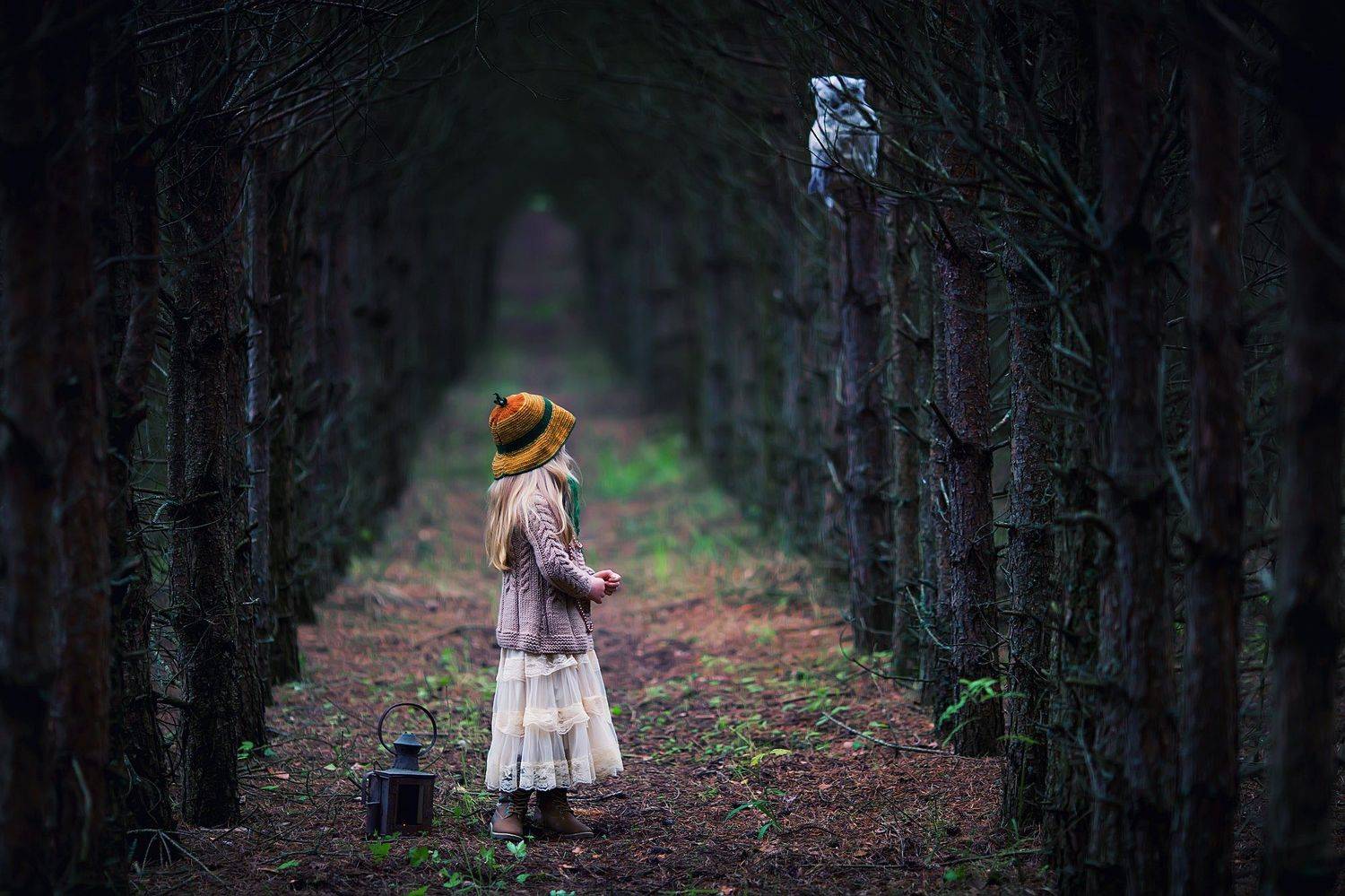 , Юлия Войнич