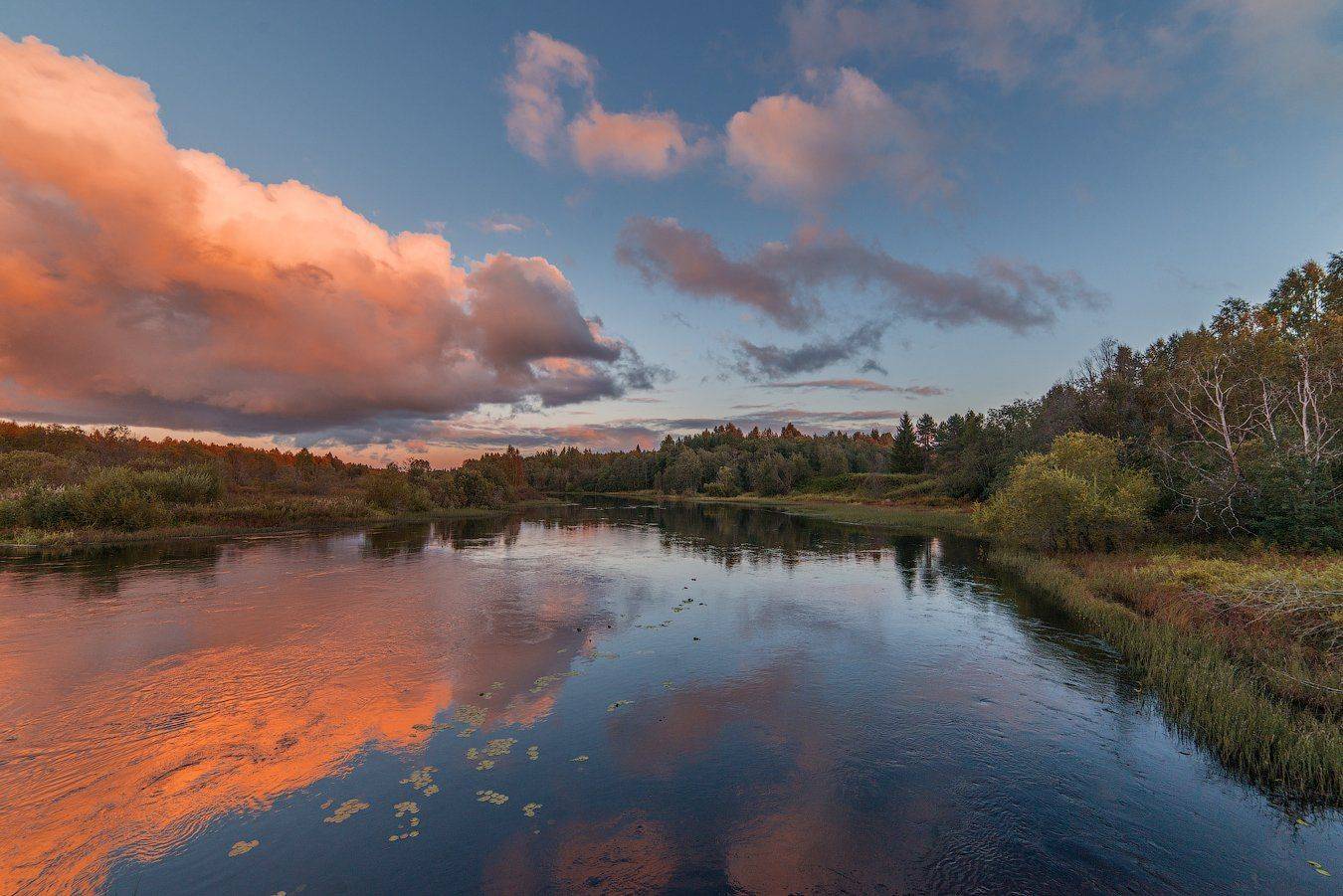 , Роман Горячий