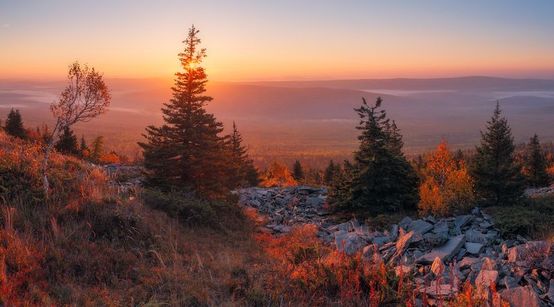 Вспышки осени  фото превью