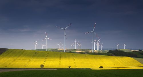 Электро-огороды