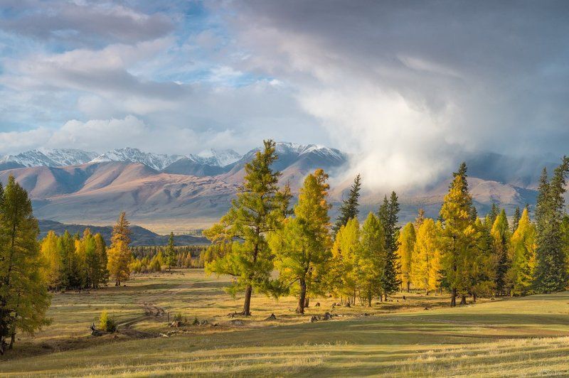 Снежное торнадо фото превью