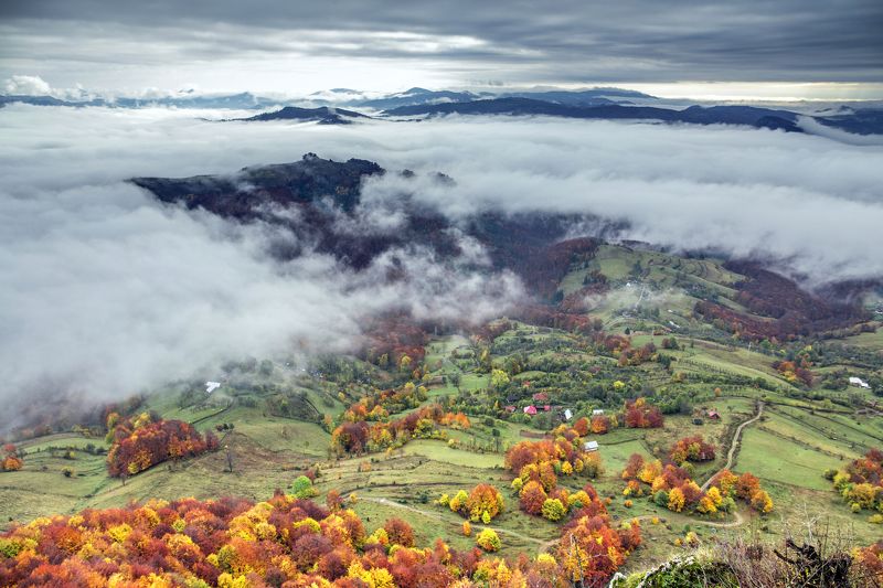 What a morning ... фото превью