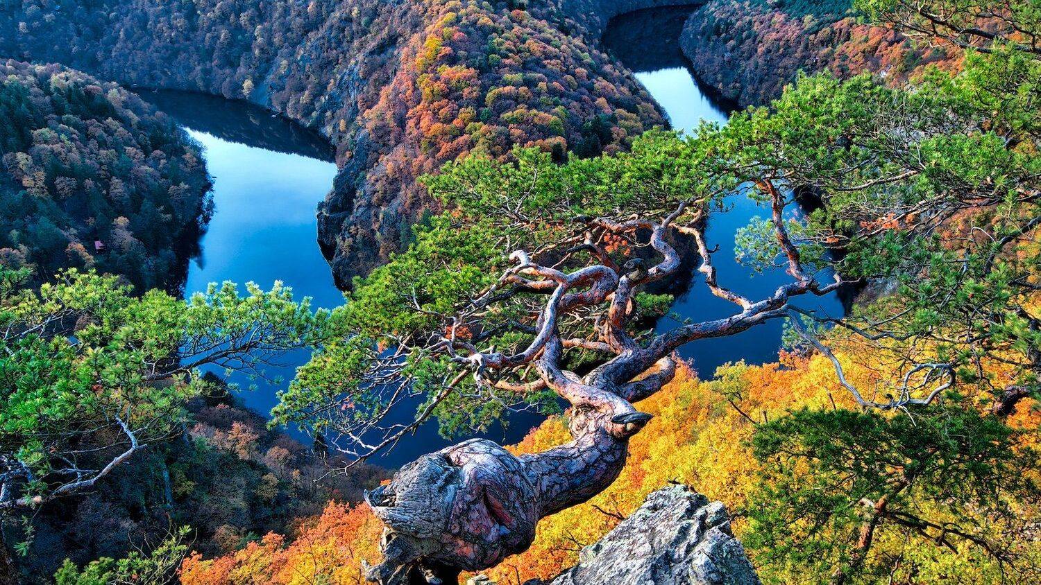 Czech, river, blue, blue hour, Europe, famous place, landscape, natural landmark, nature, forest, autumn, stone, pine, travel, travel destination, travel and tourism, water, outdoor, view, colorful,  sunset, mood, fall, green, beautiful, vast, Vltava, cal, Эдуард Горобец