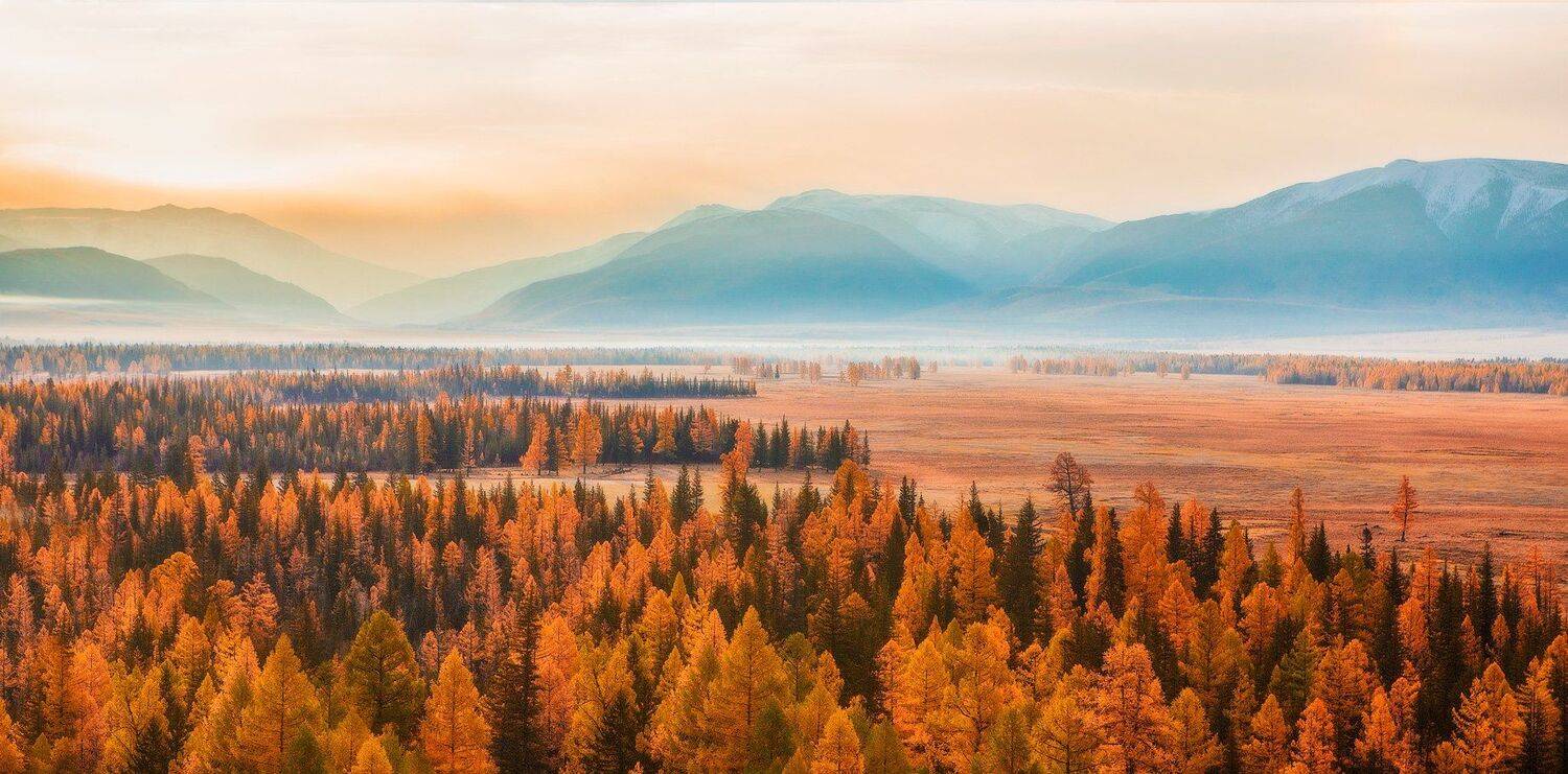 , Владимир Липецких