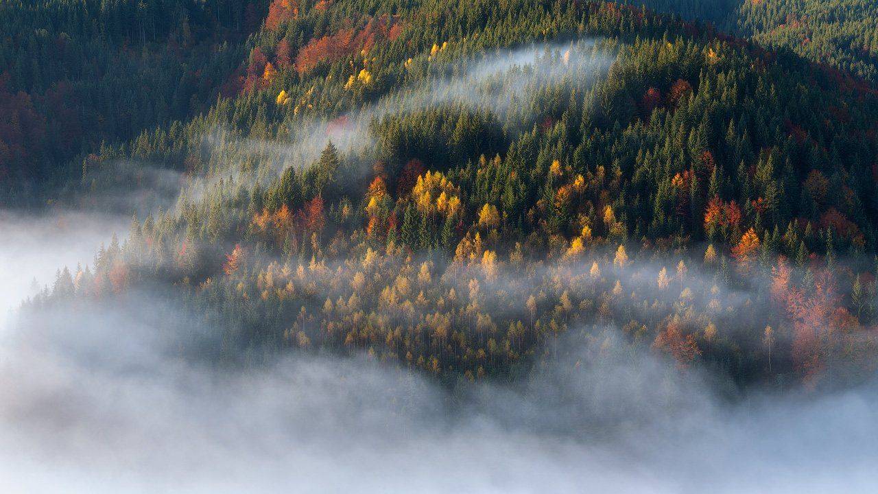 , Ярослав Тюрменко (Jaremi)