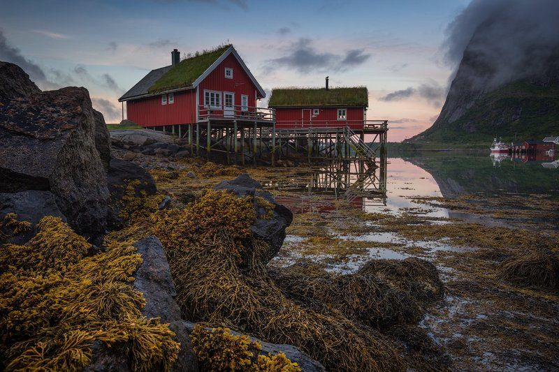 norway, норвегия, море, путешествие, lofoten, лофотены Fisherman\'s Morning. фото превью