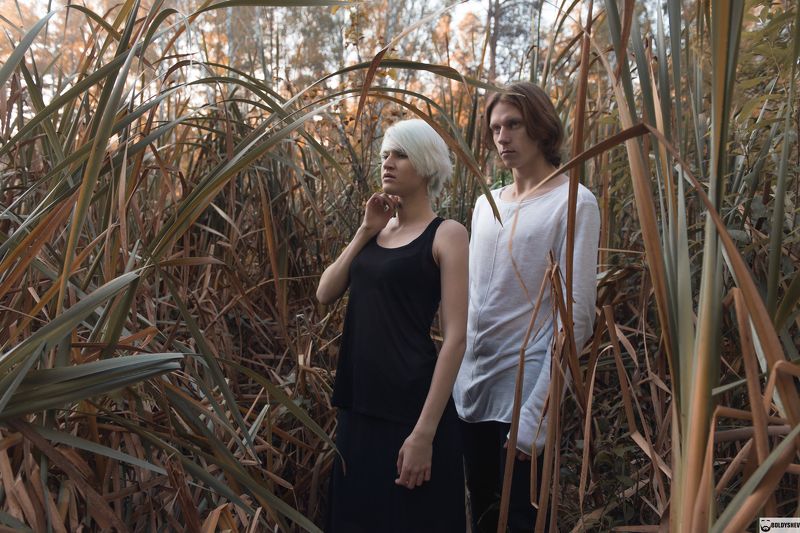 фото превью