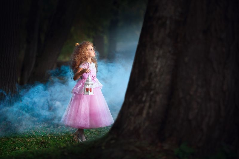 девочка, дым, туман, лес, тайна, сказка, история Dream фото превью
