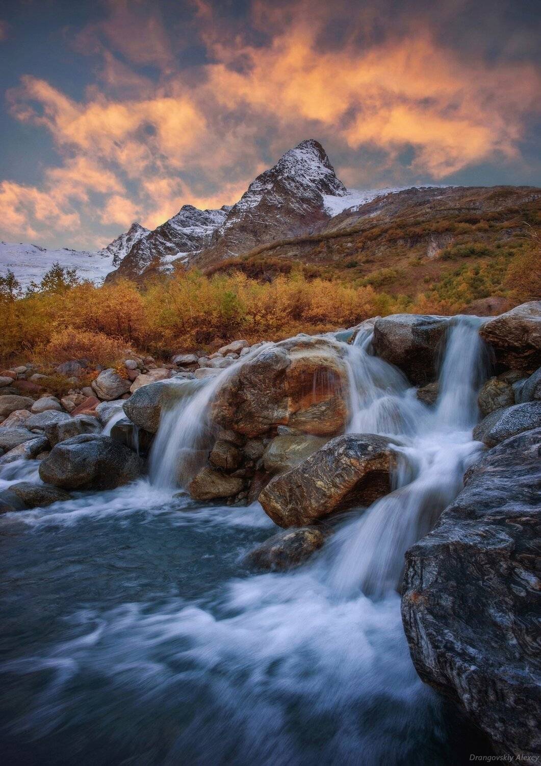, Алексей Дранговский