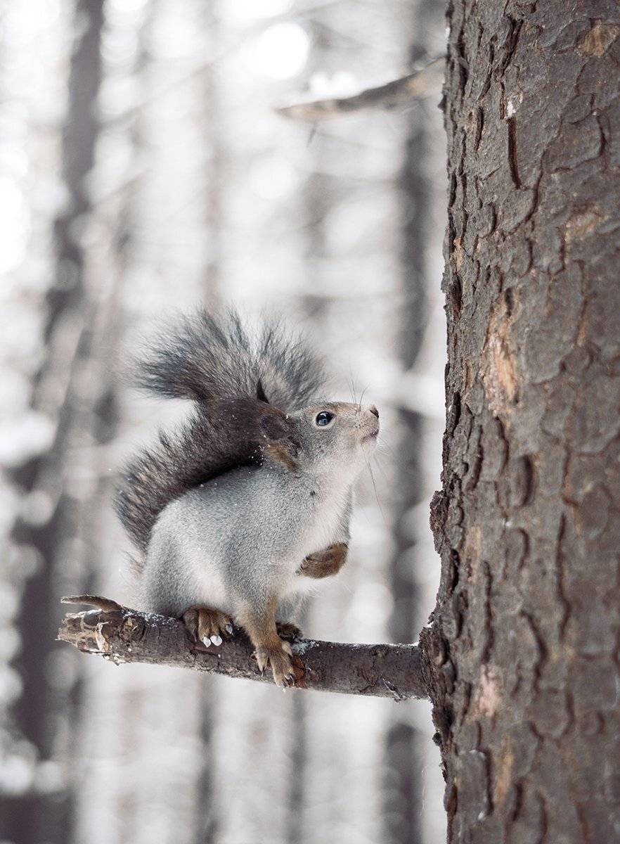 , Чернякова Анна