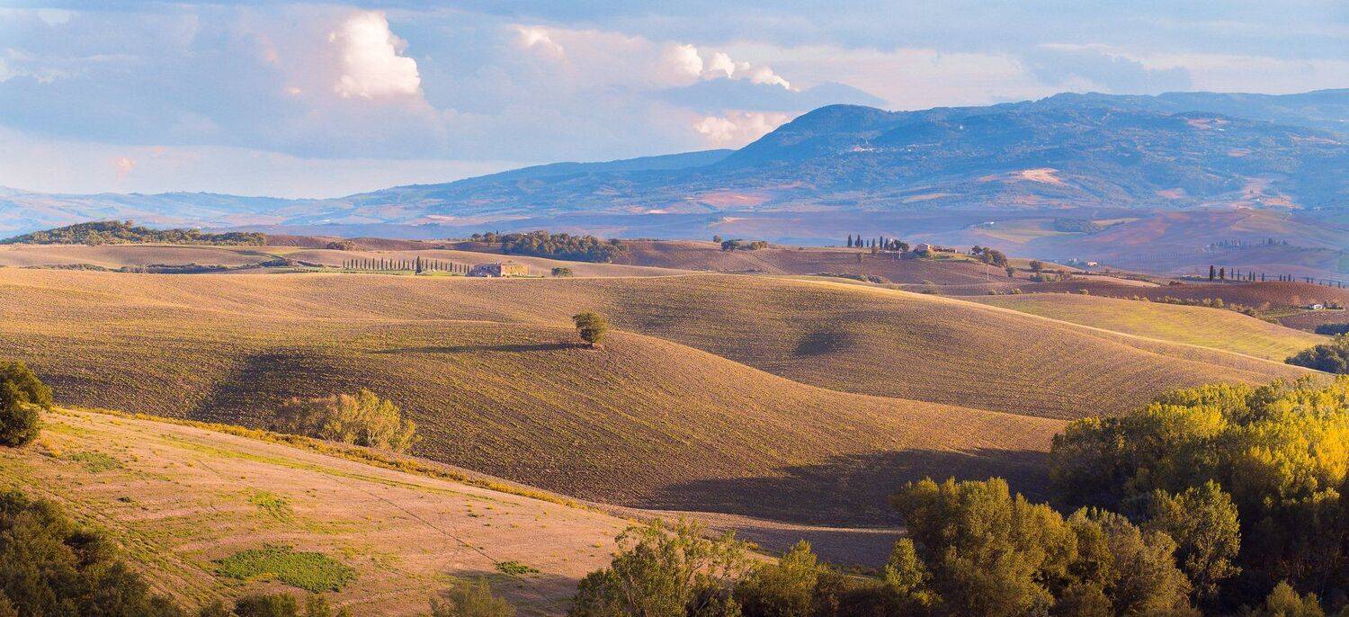 , Игорь Криницын