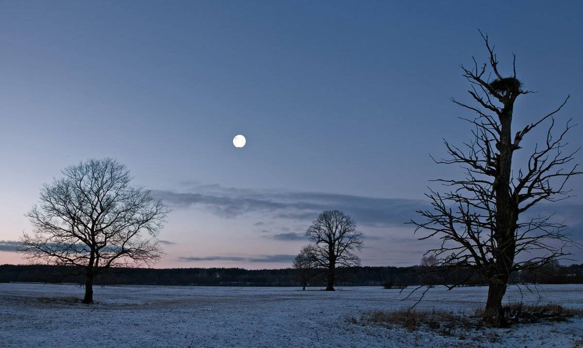 , Валерий Кондратов