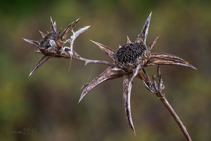 СТАРАЯ МЕДНАЯ БРОШКА С КАМЕШКОМ. фото превью