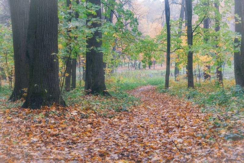 Ушедшая осень фото превью