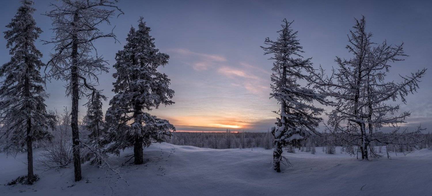 зима, закат, сибирь, уренгой, янао, Андрей Снегирёв