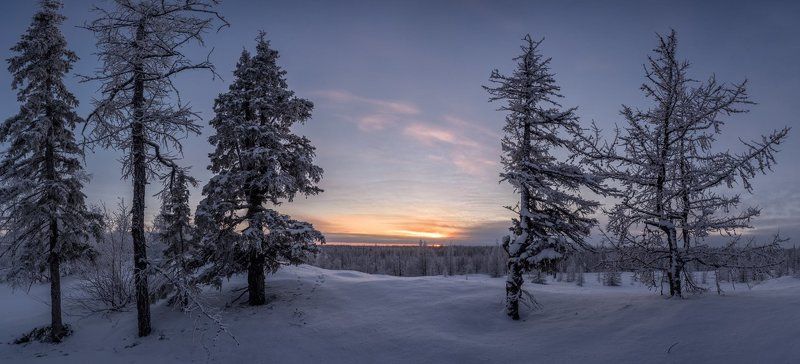 зима, закат, сибирь, уренгой, янао Ноябрь фото превью