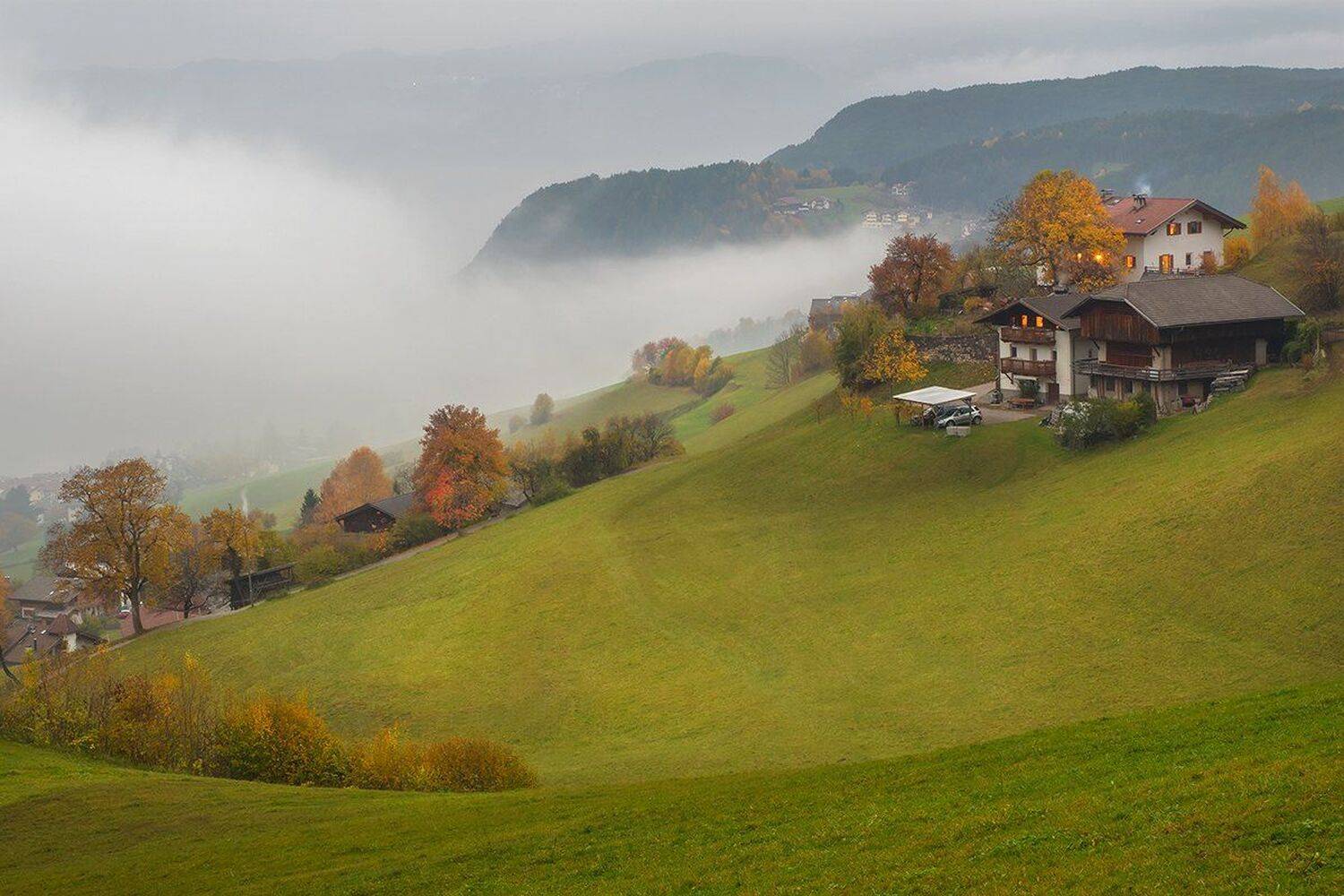 , Игорь Дубровский