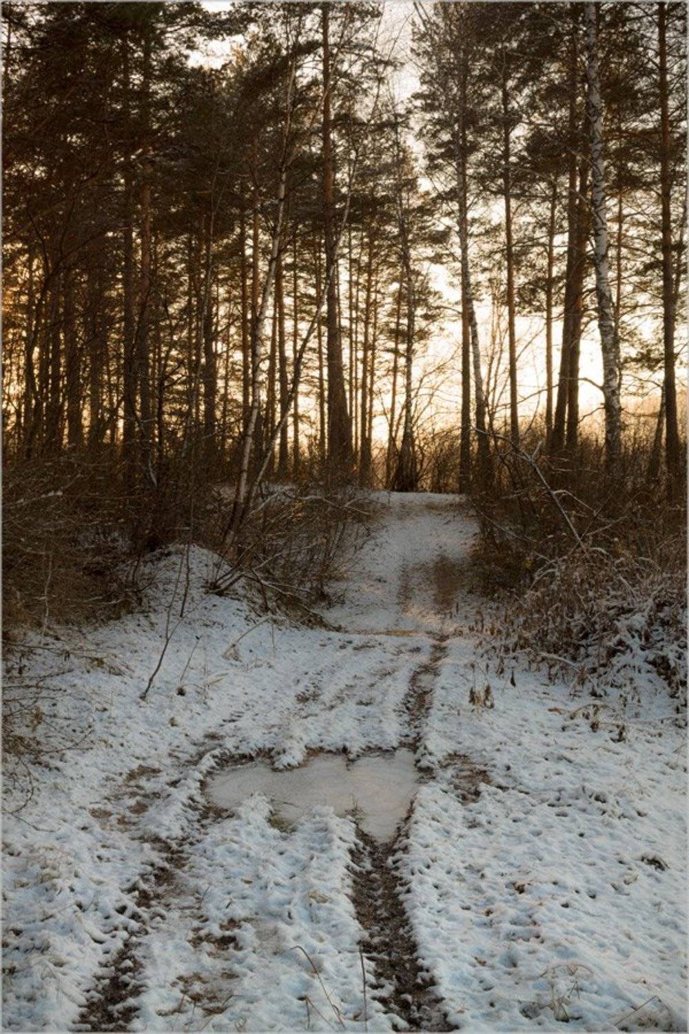 , Курочкина Диана