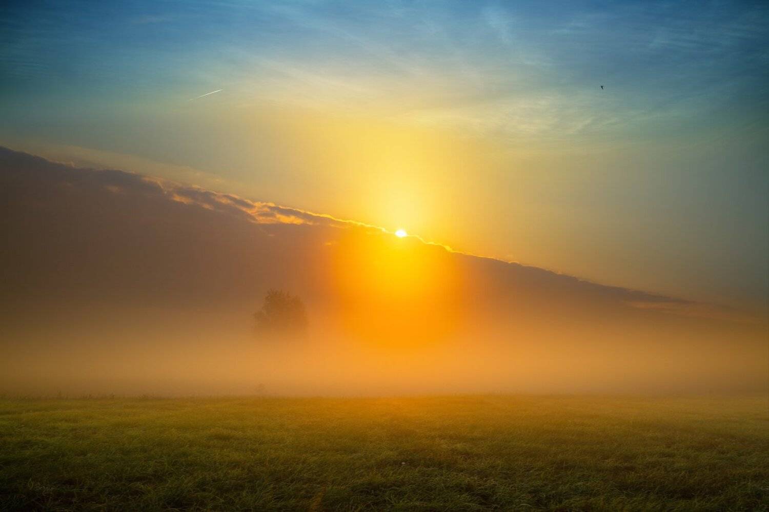 Беларусь, Серж Домбровский