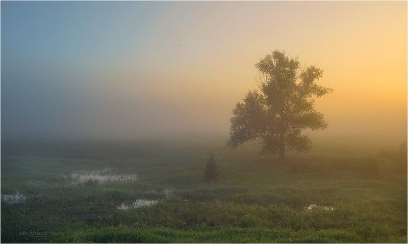 ТУманный рассвет фото превью