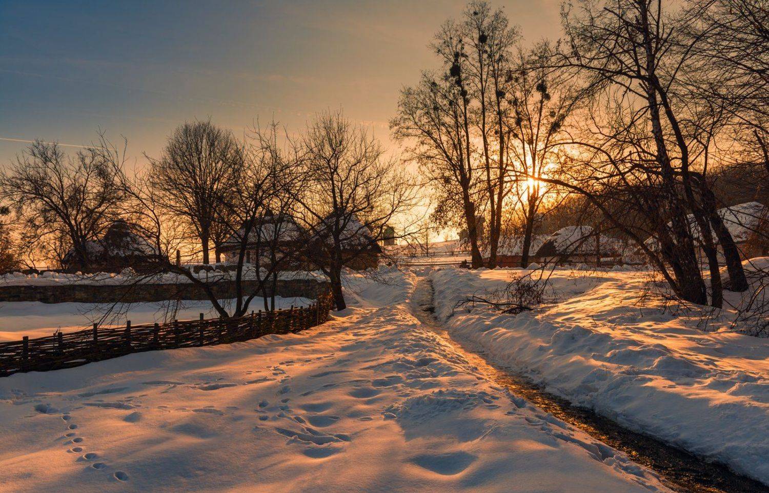 , Галанзовская Оксана