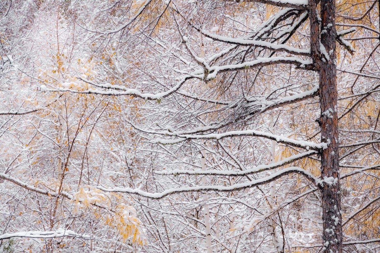 , Николай Морский