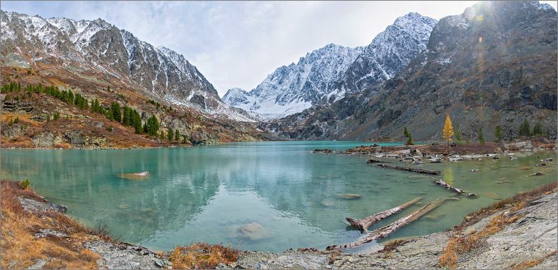 куйгук, алтай Озеро, рыжая и \