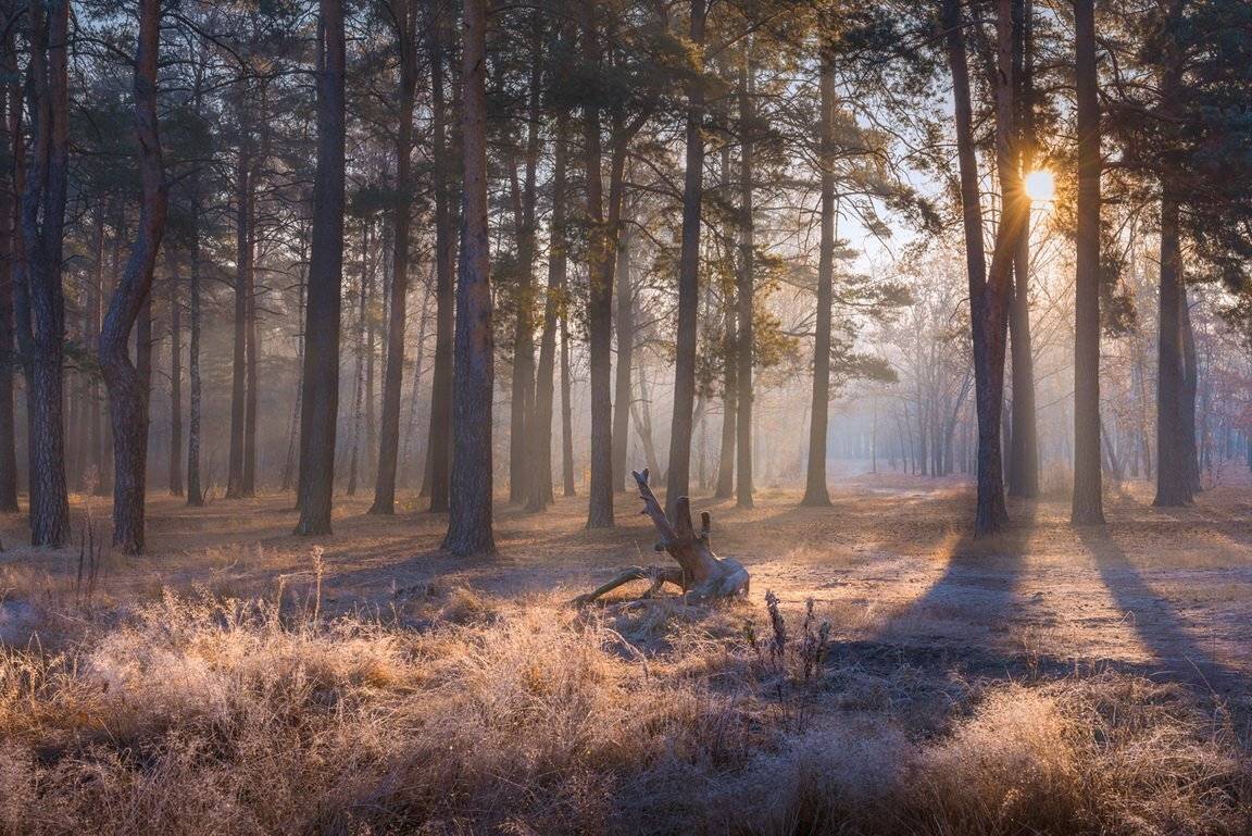 , Галанзовская Оксана