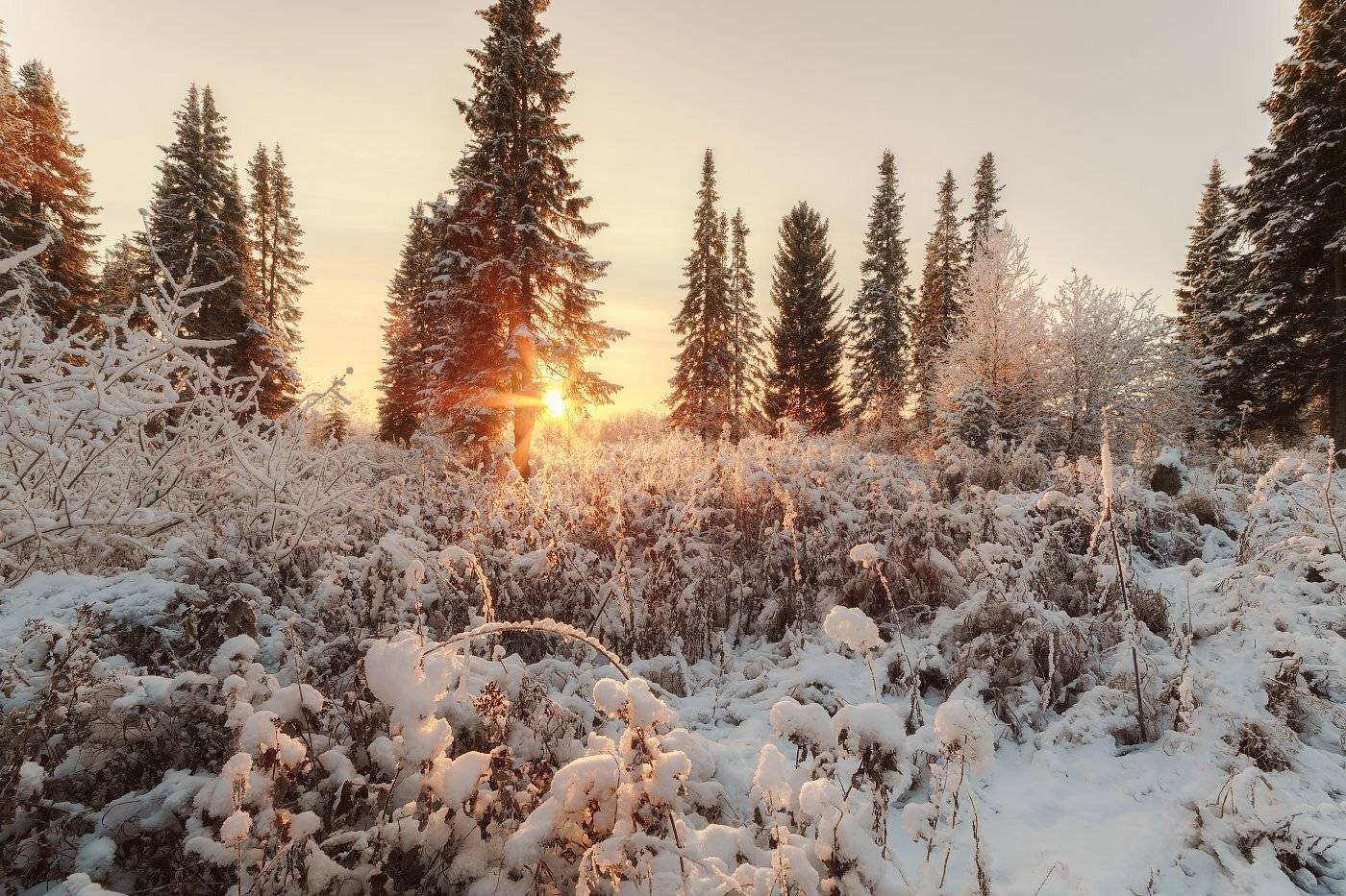 печора,коми,север,ноябрь,снег, Игорь Подобаев