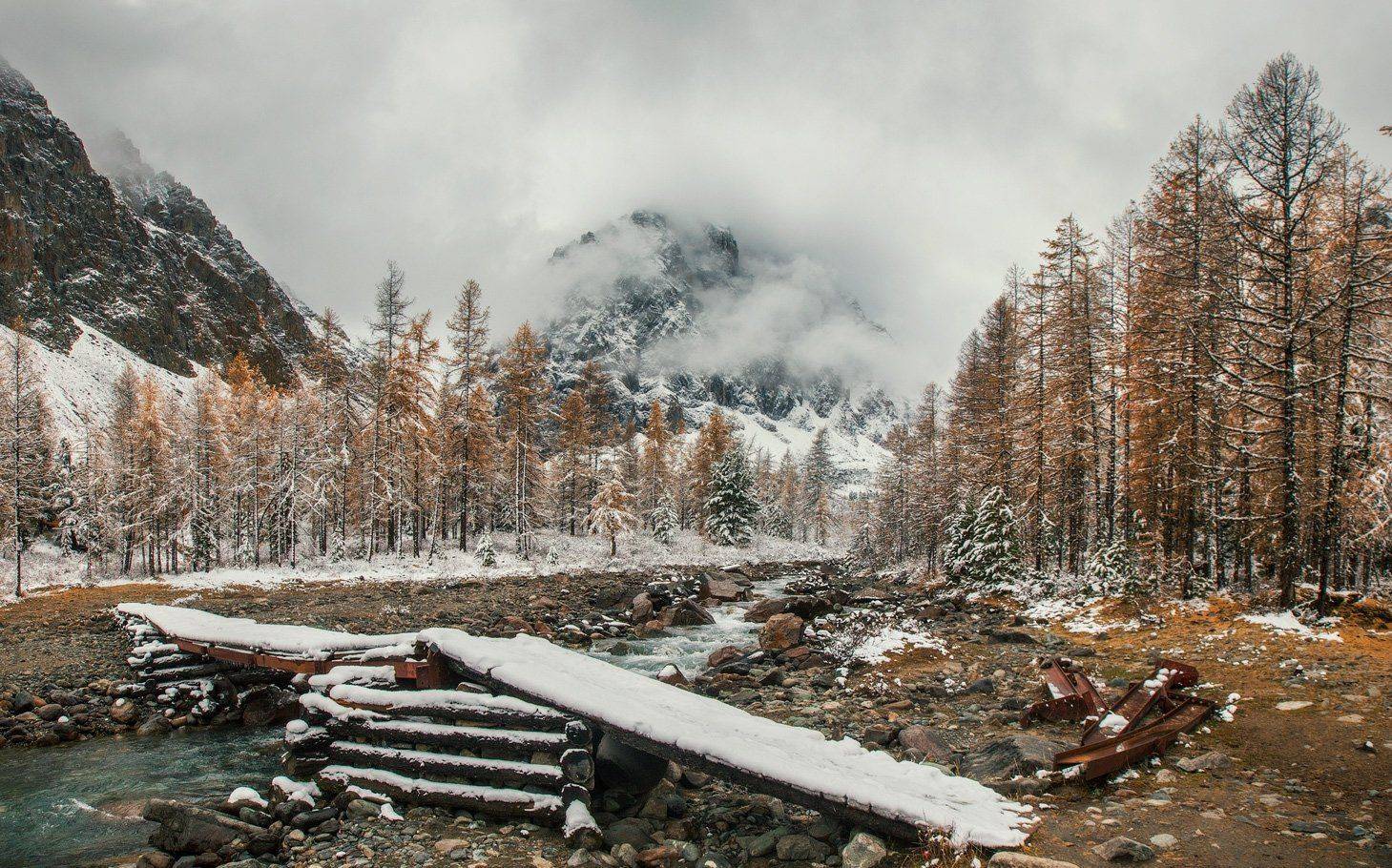алтай, актру, Владимир Липецких