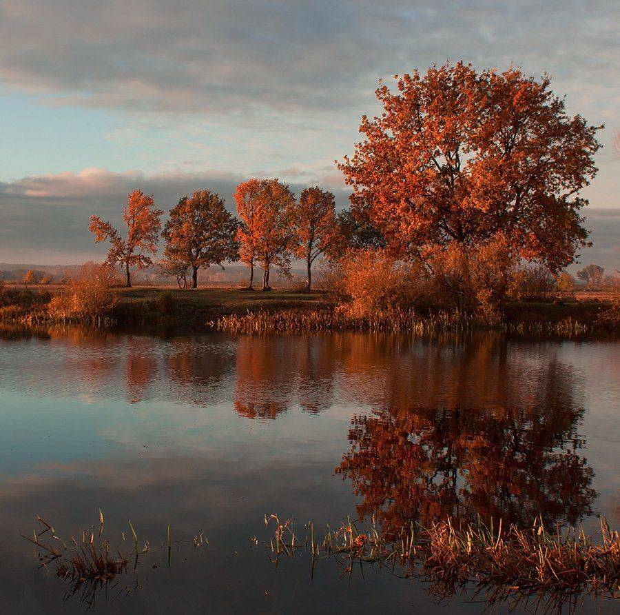 , Pawel Plucinski