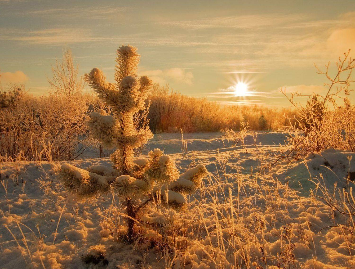 печора,коми,север,ноябрь,снег, Игорь Подобаев