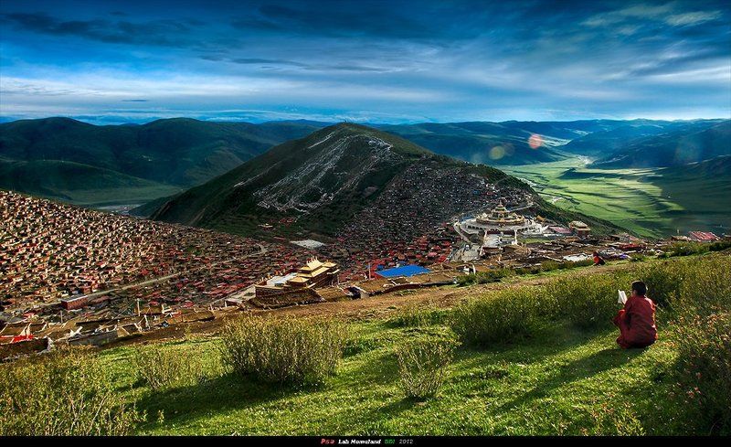 на практике  малых  лама  修行的小喇嘛 фото превью