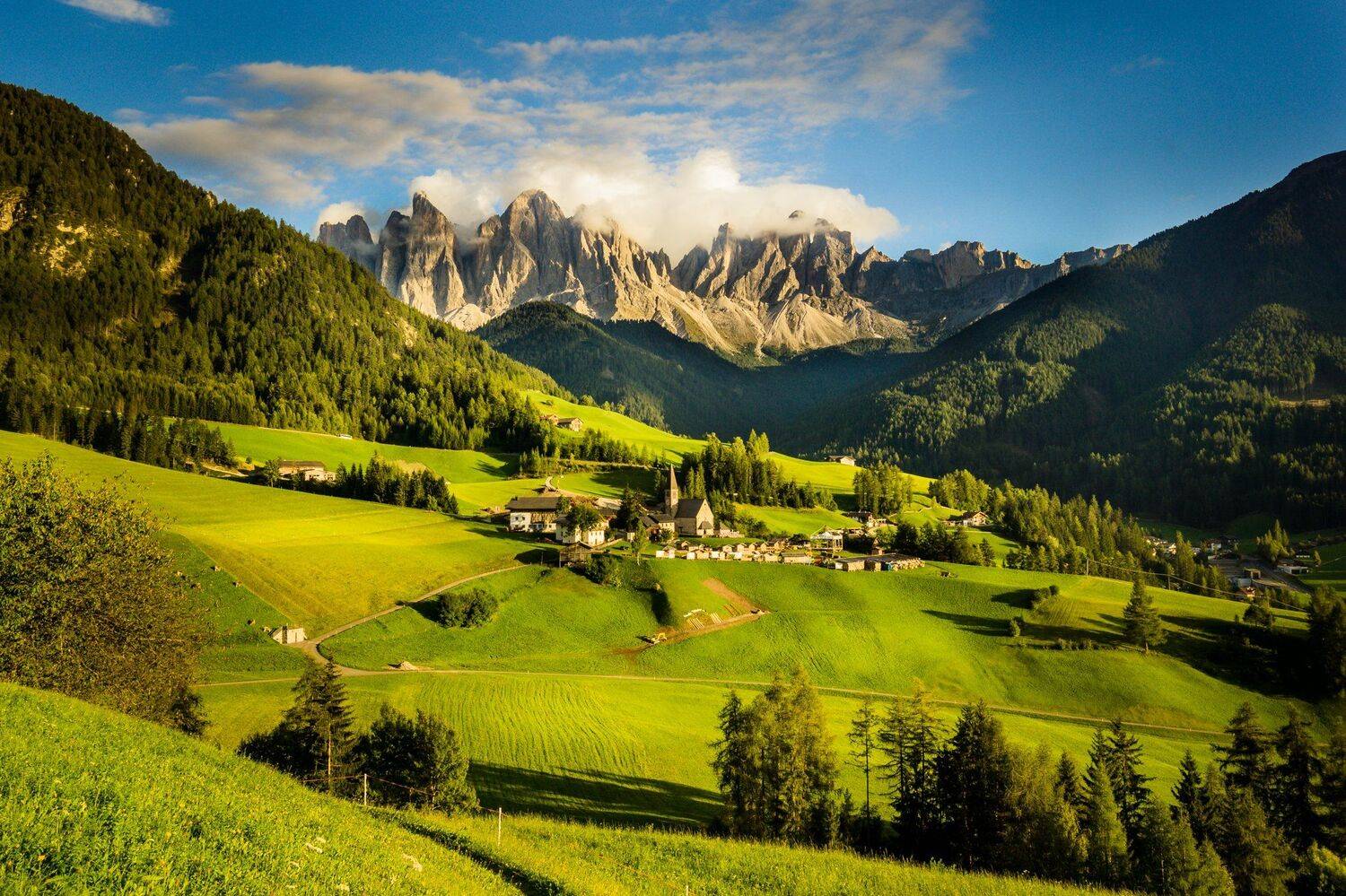 , Илияна Шишкова