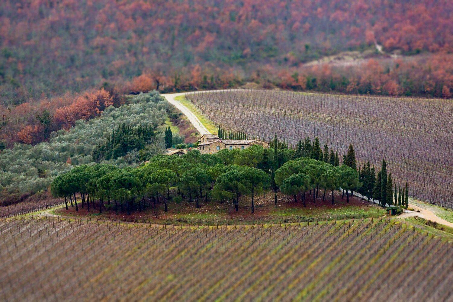 , Лядимов Дмитрий