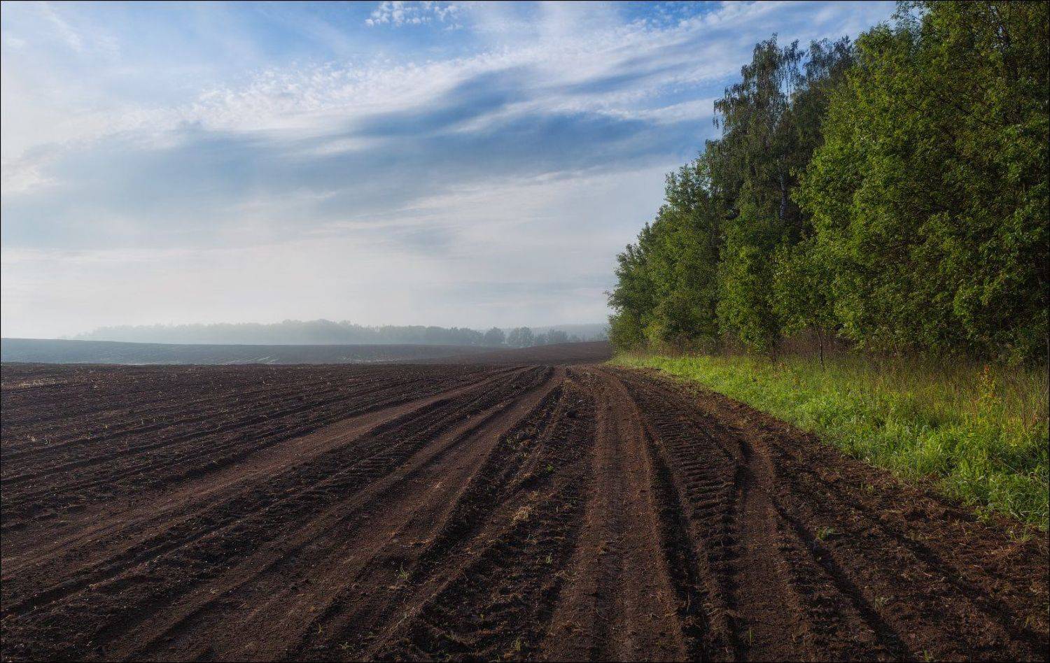 утро, весна, поле, лес, дымка,, Сергей Шабуневич