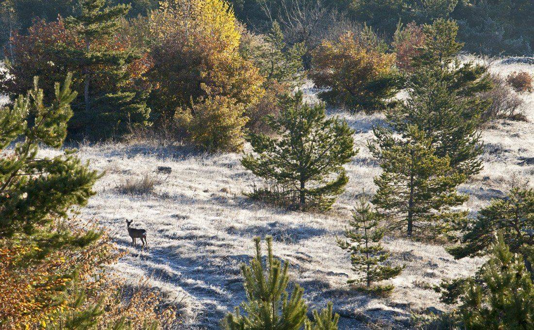 , Станислав Савицкий