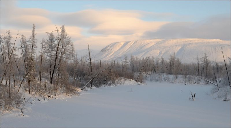 И снова зима фото превью