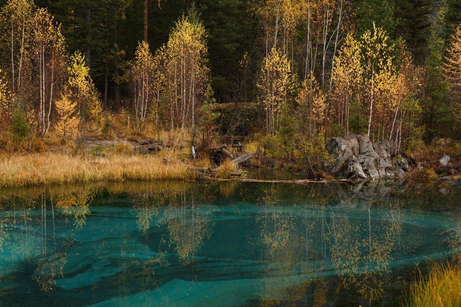 , Бруно Томский