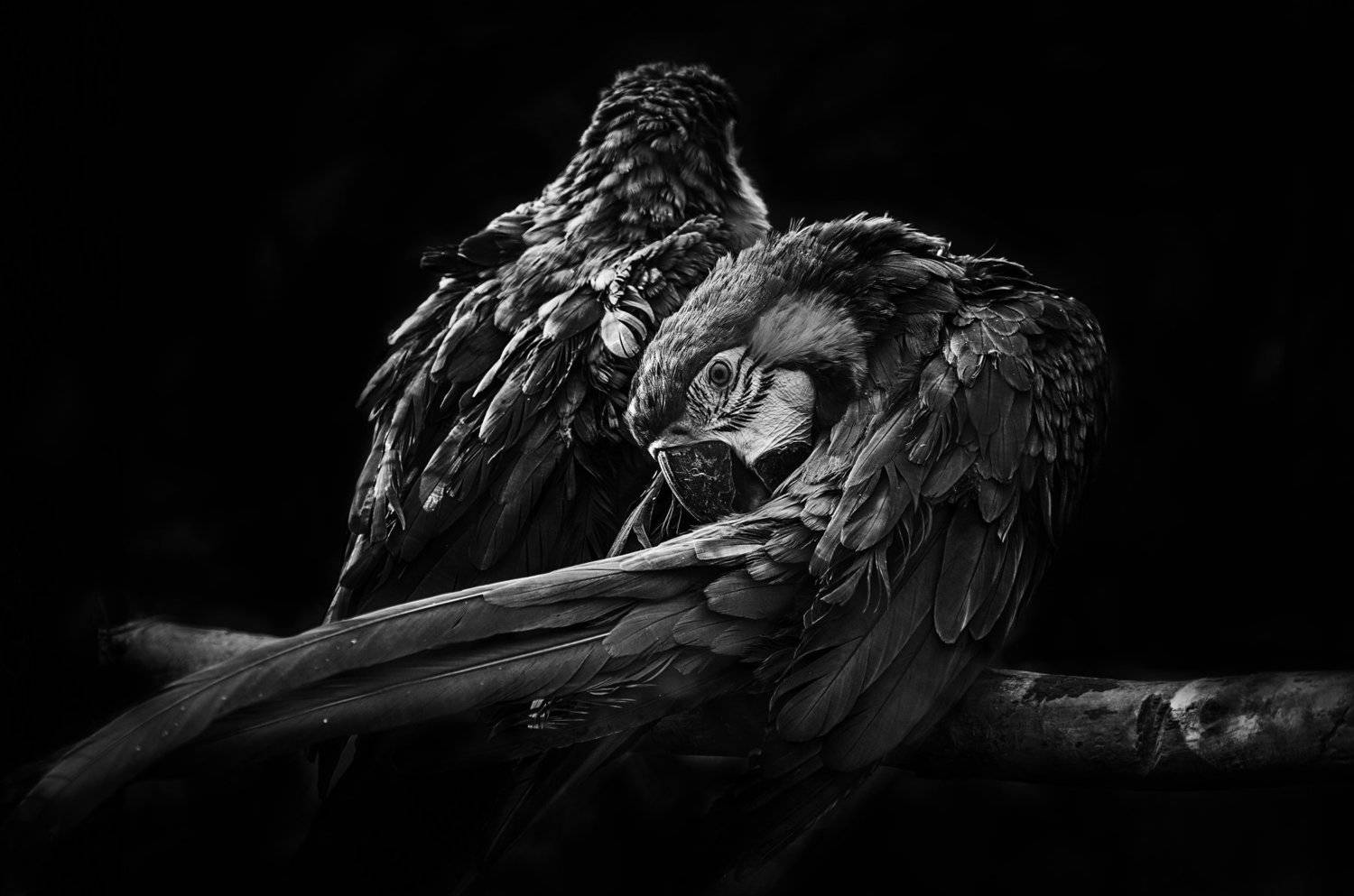 , Desislava Ignatova