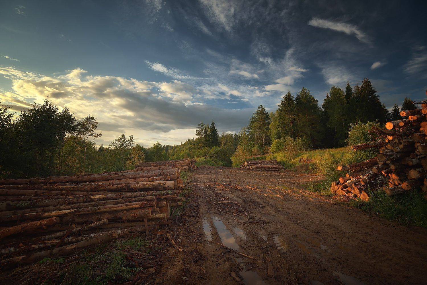 , Алексей Никонов