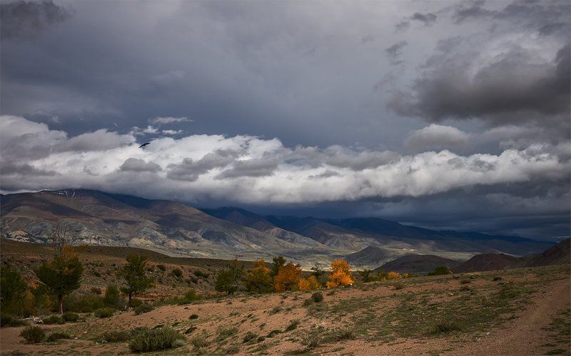 алтай, чуйская котловина, кызылчин, тучи, дождевые облака Пасмурный Кызылчин фото превью