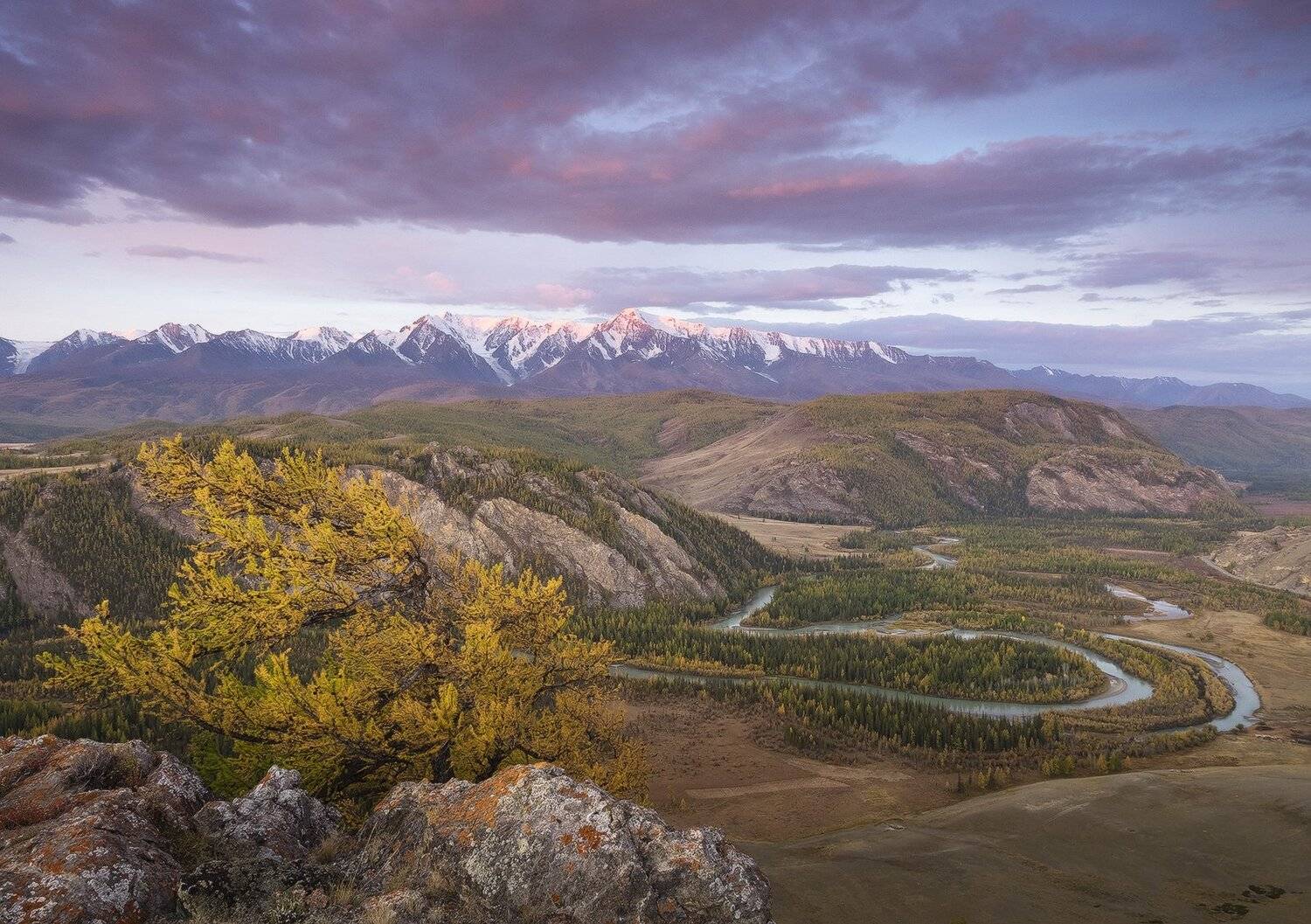 , Лещёнок Александр