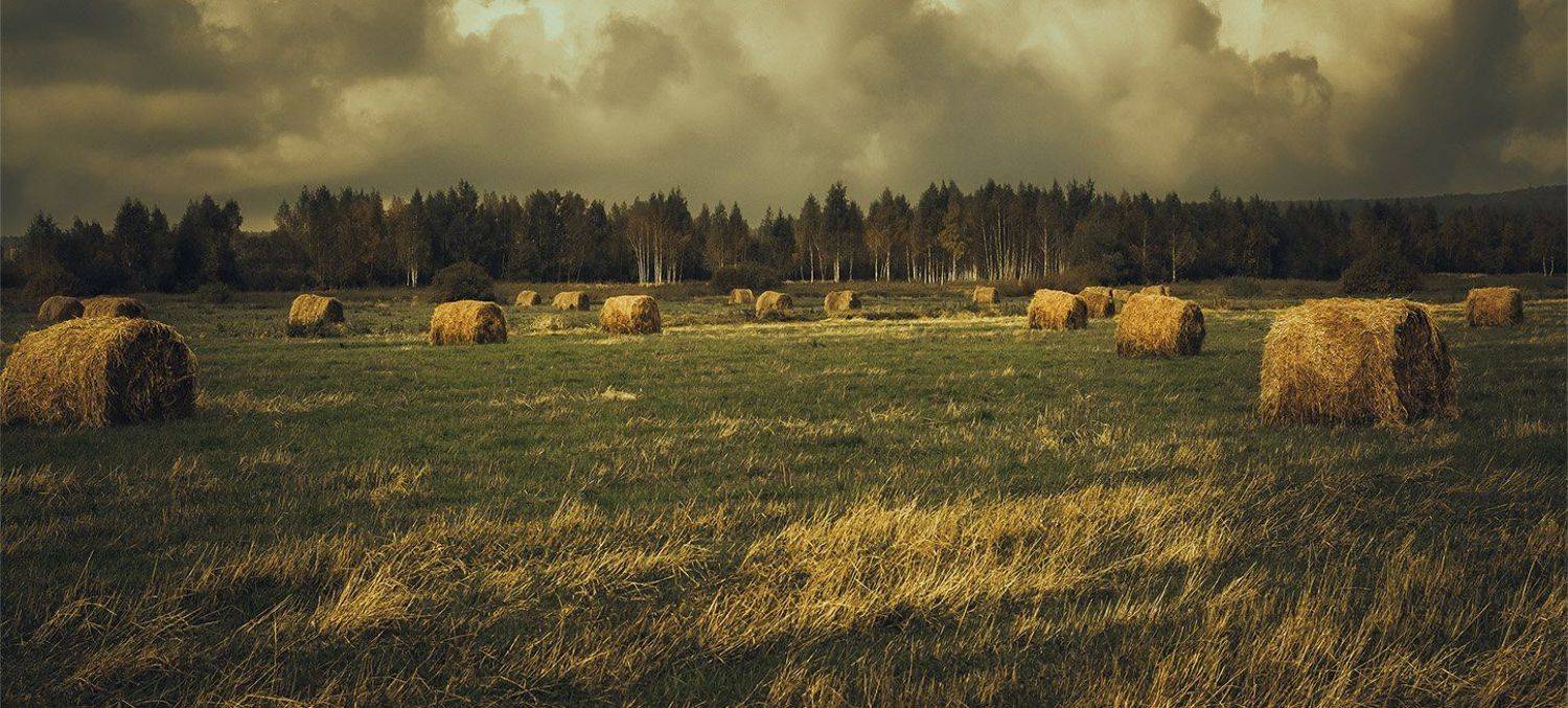 , Анатолий Зверев