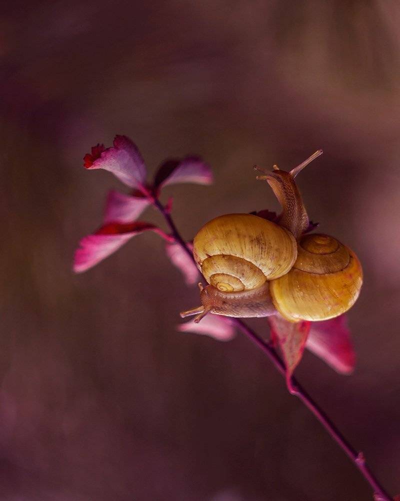 , Pawel Plucinski